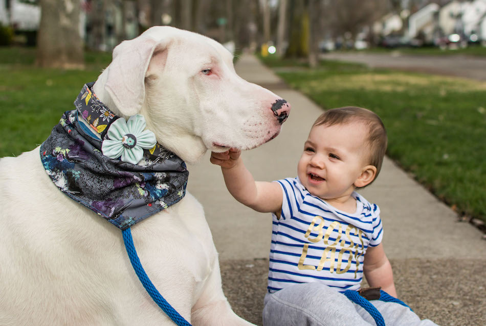DEAF DOG AND GIRL BEST FRIENDS