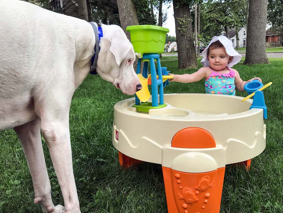 DEAF DOG AND GIRL BEST FRIENDS