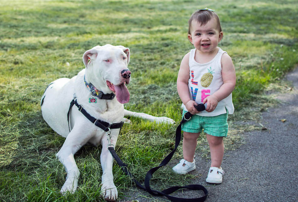 DEAF DOG AND GIRL BEST FRIENDS