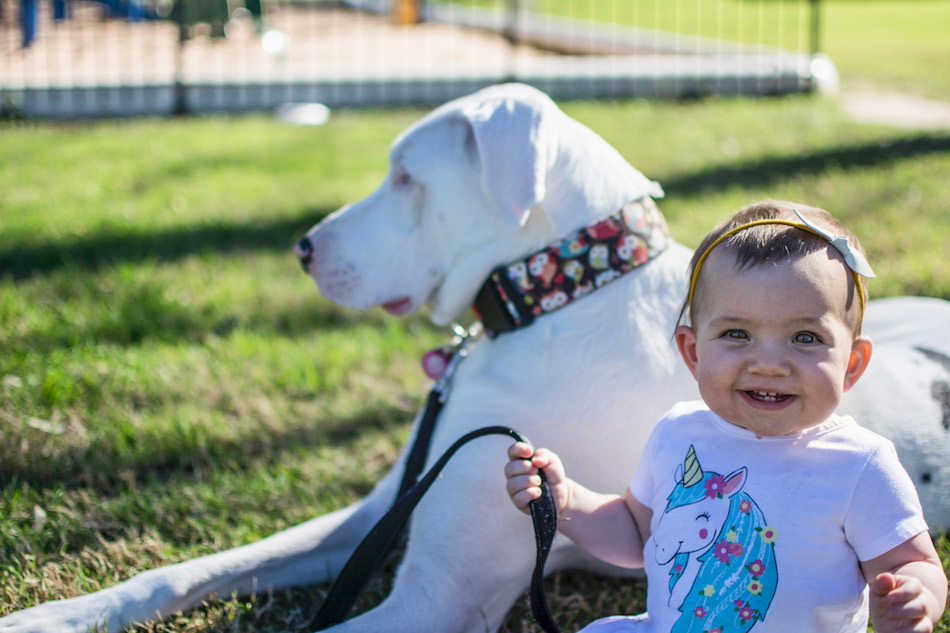 DEAF DOG AND GIRL BEST FRIENDS