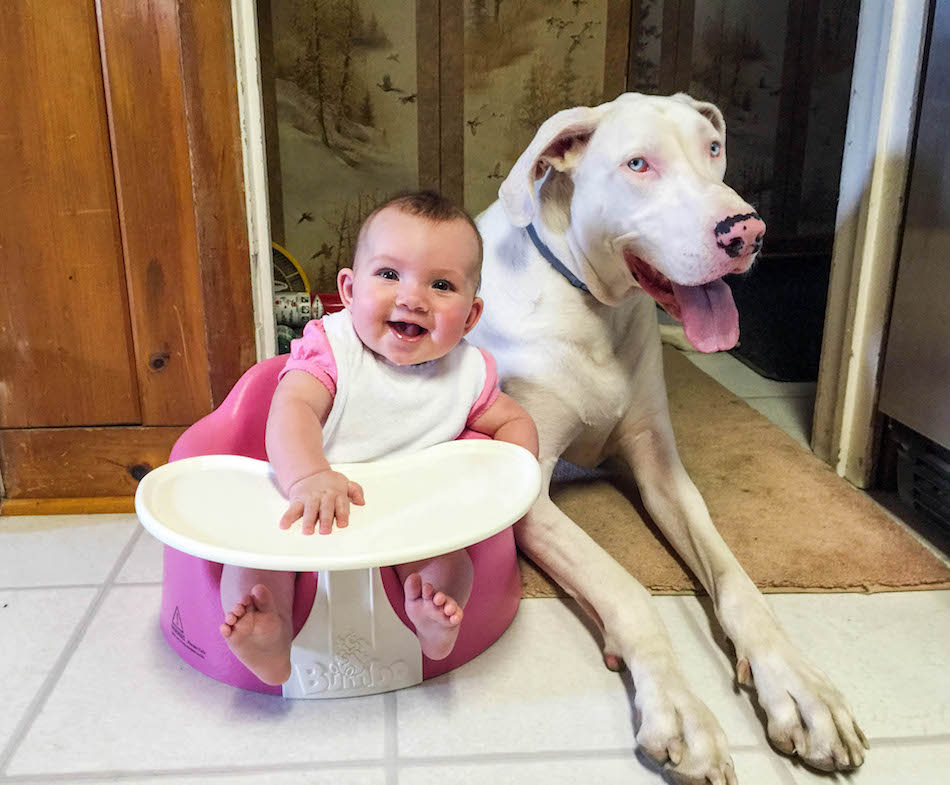 DEAF DOG AND GIRL BEST FRIENDS