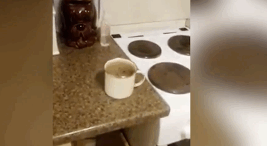 CUP.gif