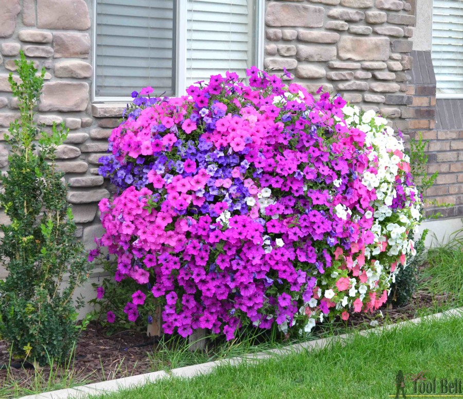 Cascading-flower-pallet-planter-box-Sept-900x7761-1.jpg