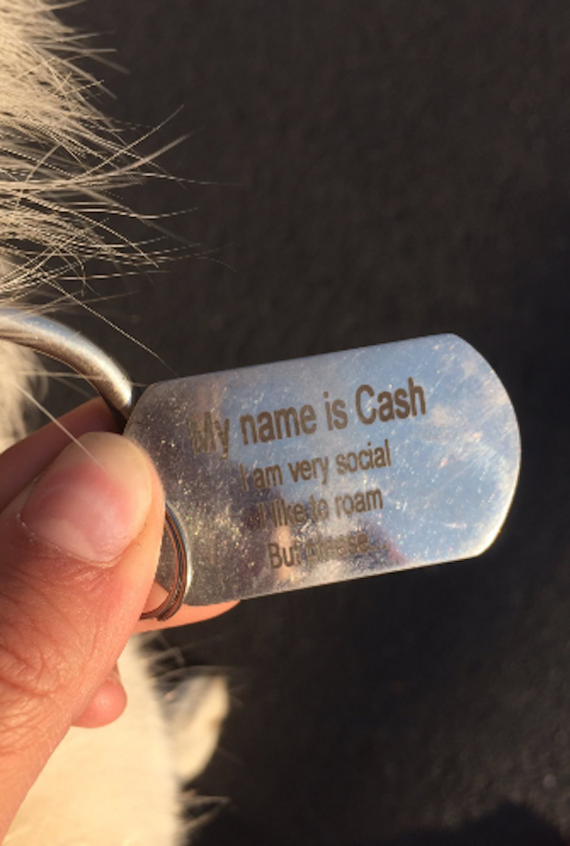 Cash-the-dog-loves-adventures-3.jpg