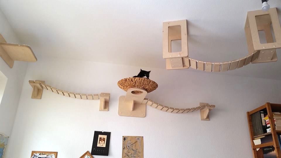 Cat-Furniture-4.jpg