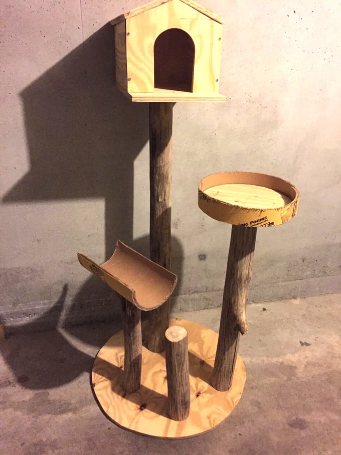 Cat-Tree-7-1.jpg
