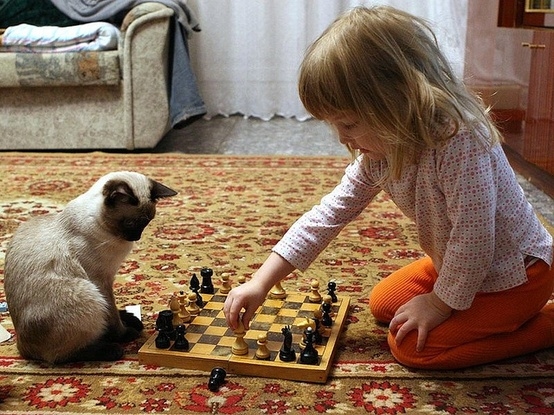 Cat-and-Kid-Playing-Chess.jpg