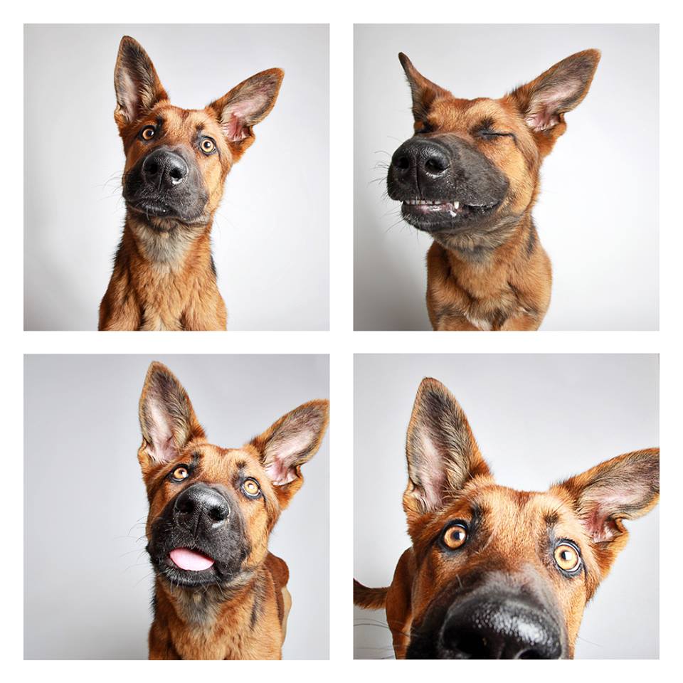 Charlie-10.jpg