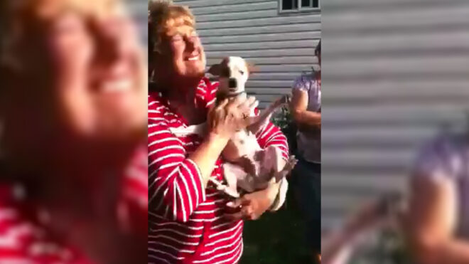 Chico and grandmother reunited  2