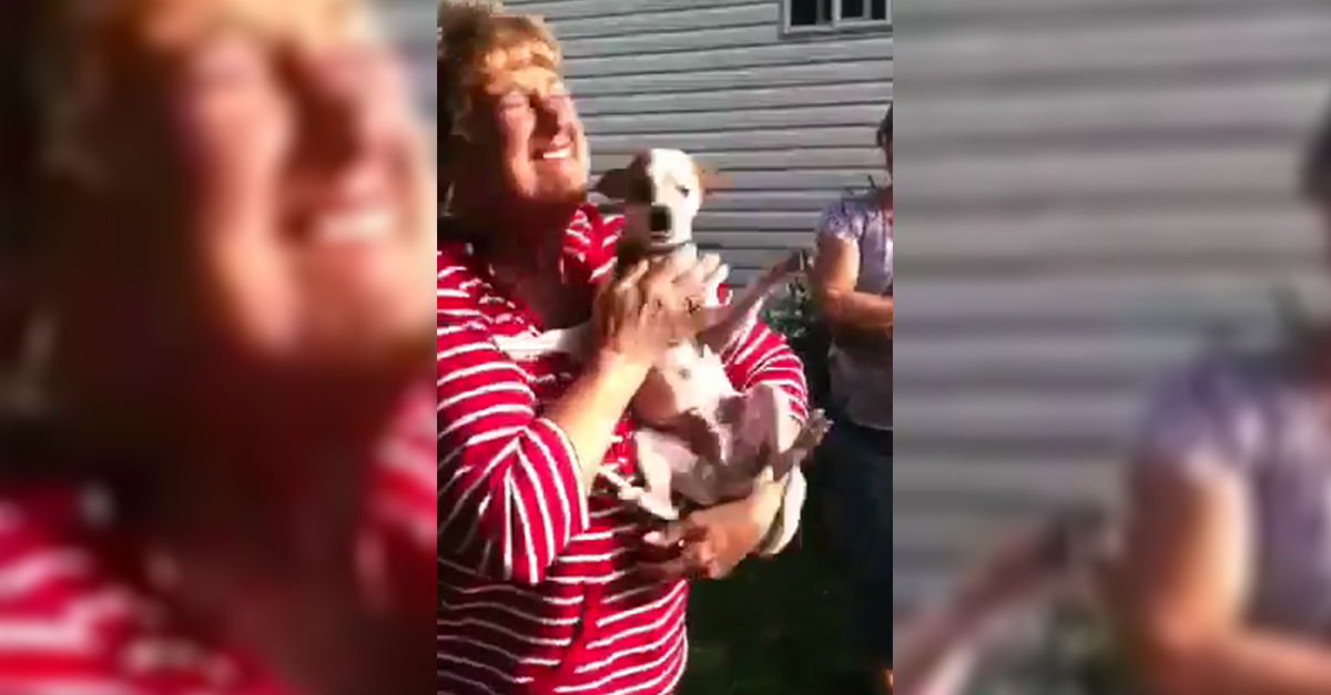 Chico and grandmother reunited  2