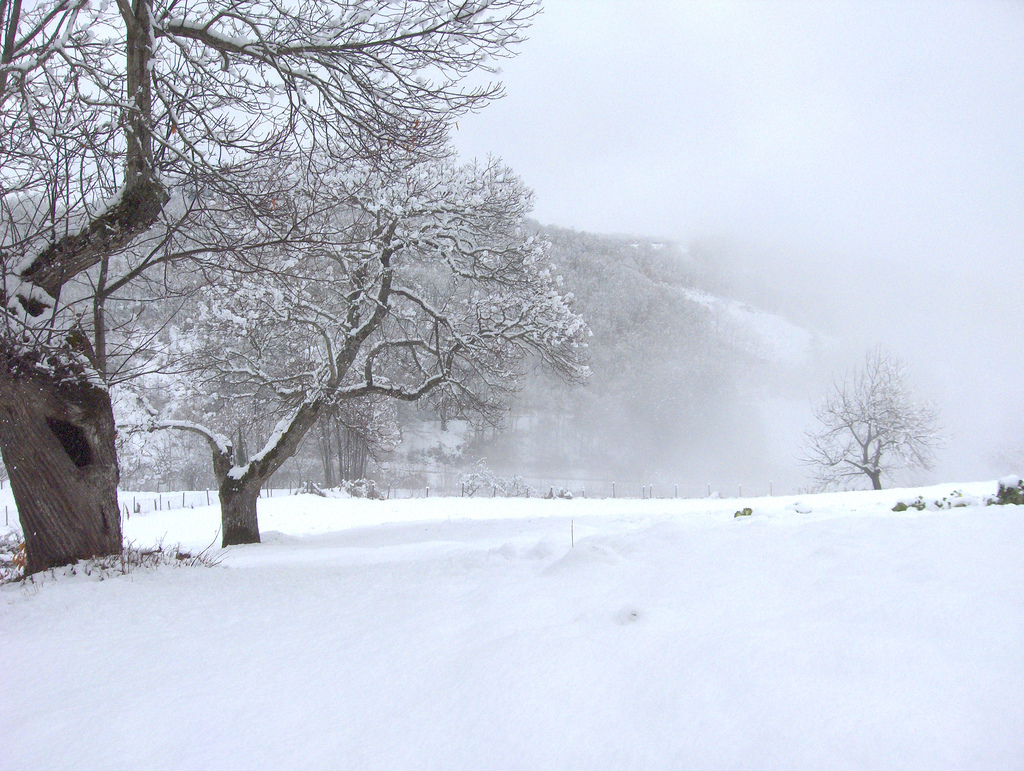 Cold_day_in_Lagarelhos_Vinhais.jpg