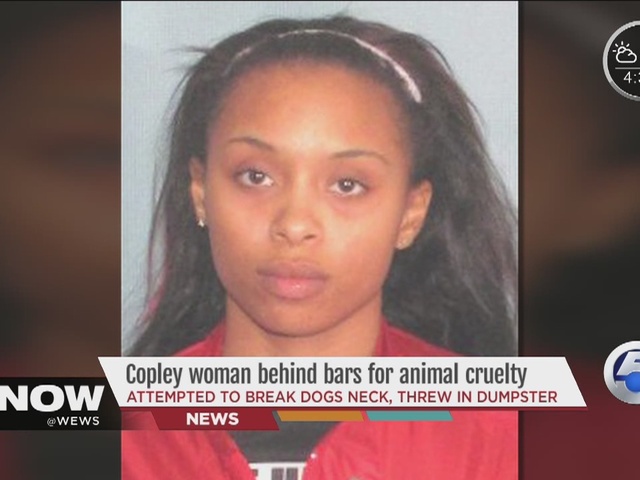 Copley_woman_jailed_for_throwing_dog_in__3453520001_24328144_ver1.0_640_480.jpg