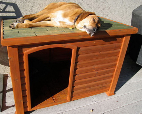 Creative-Dog-House-Design-Ideas_07.jpg