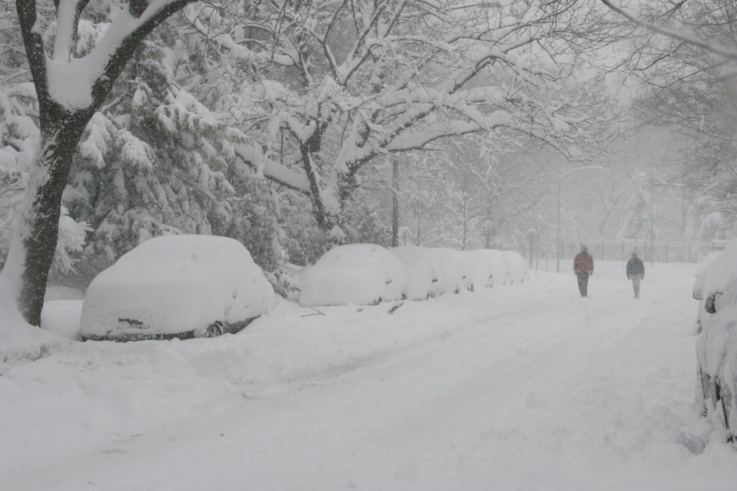 DC_Snowstorm_Feb_-_Flickr_-_Al_Jazeera_English_6.jpg
