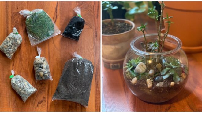 DIY terrarium