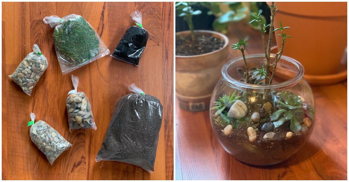 DIY terrarium