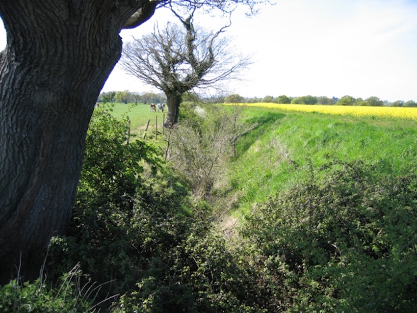 Deep_Ditch_near_Highfield_Farm_-_Looking_West_-_geograph.org_.uk_-_412239.jpg