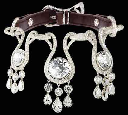 Diamond-dog-Collar.jpg Diamond-dog-Collar.jpg