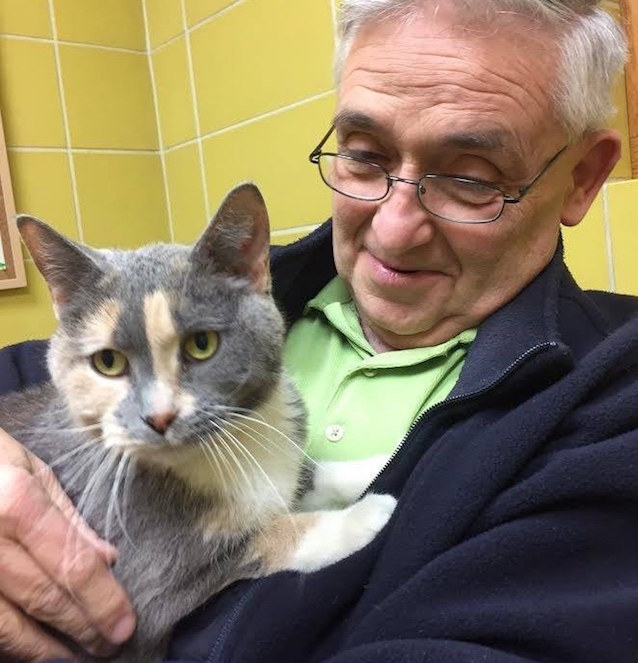 Dixie-The-Cat-Doesnt-Pee-6.jpg