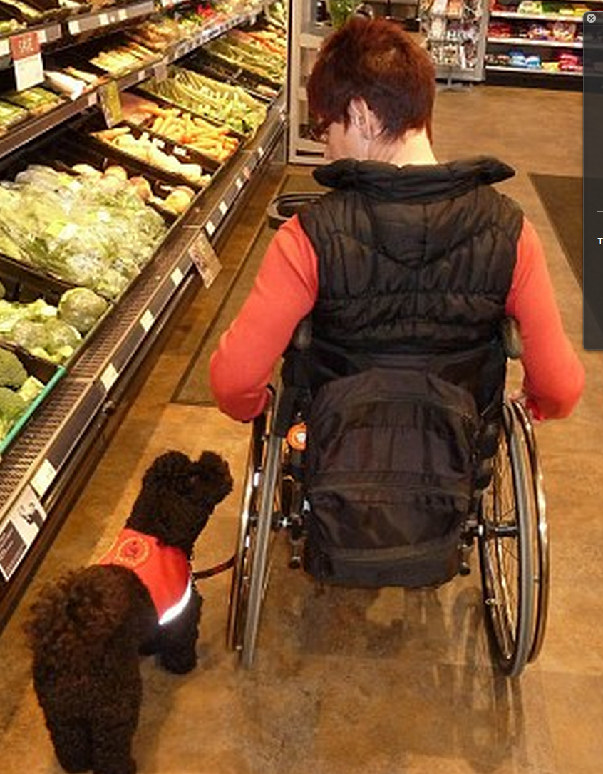 Dog-33.jpg