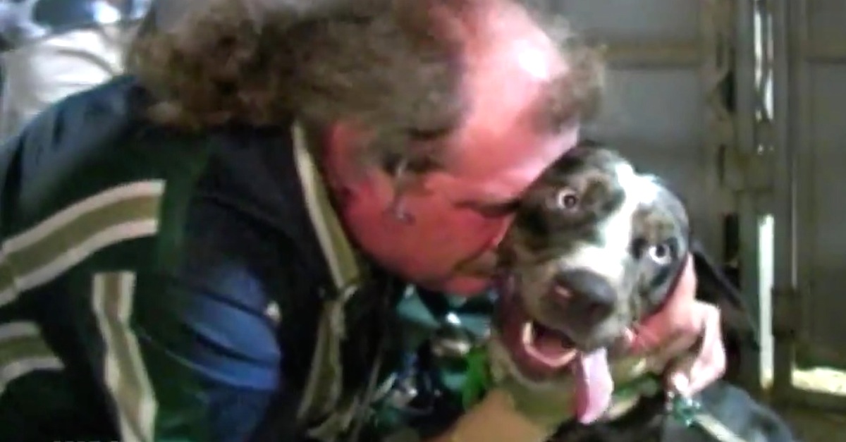 Dog Cleo reunited with owner after Hurricane Katrina