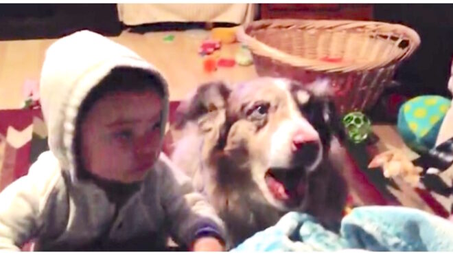 Mom teaches dog how to say word by accident