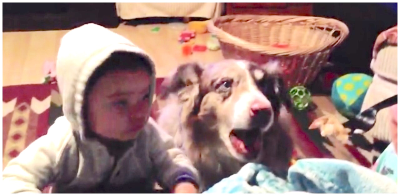 Mom teaches dog how to say word by accident