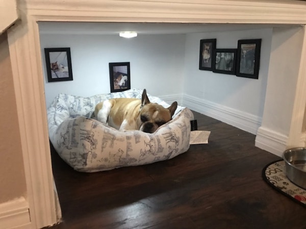 Dog-House-6.jpg
