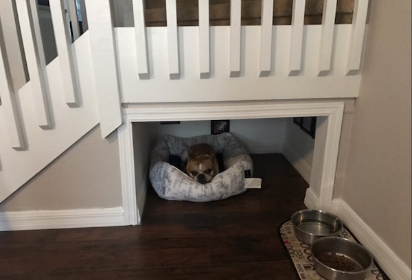 Dog-House-7.jpg