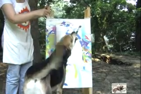 Dog-Painting-Therapy.png