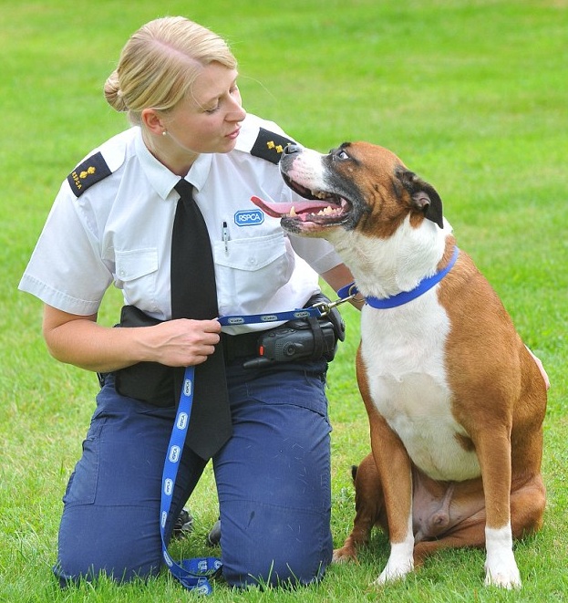 Dog-Saved-4.jpg