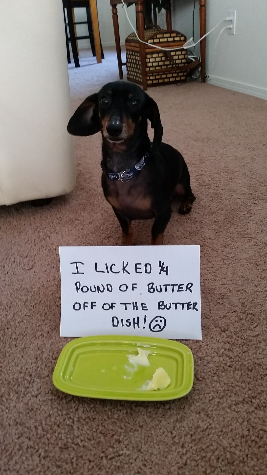 Dog-Shaming-1.jpg Dog-Shaming-1.jpg