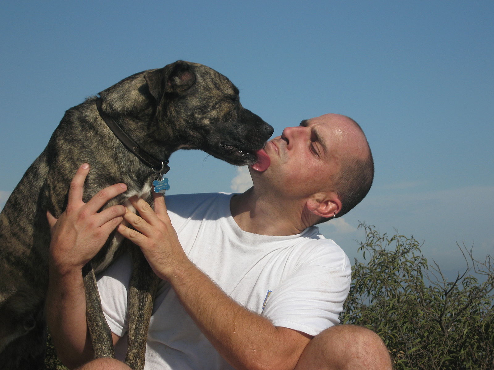 Dog_kissing.jpg