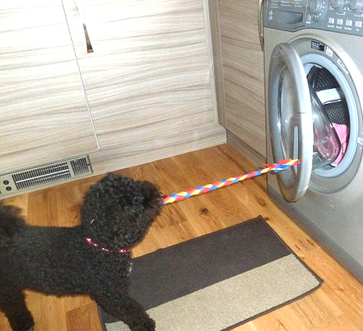 Dryer-1.jpg