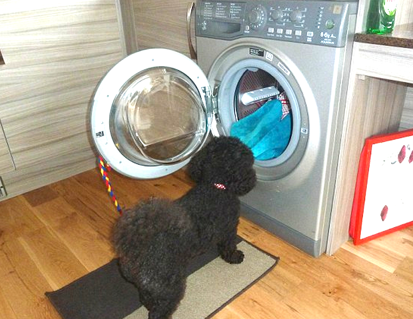 Dryer2.jpg