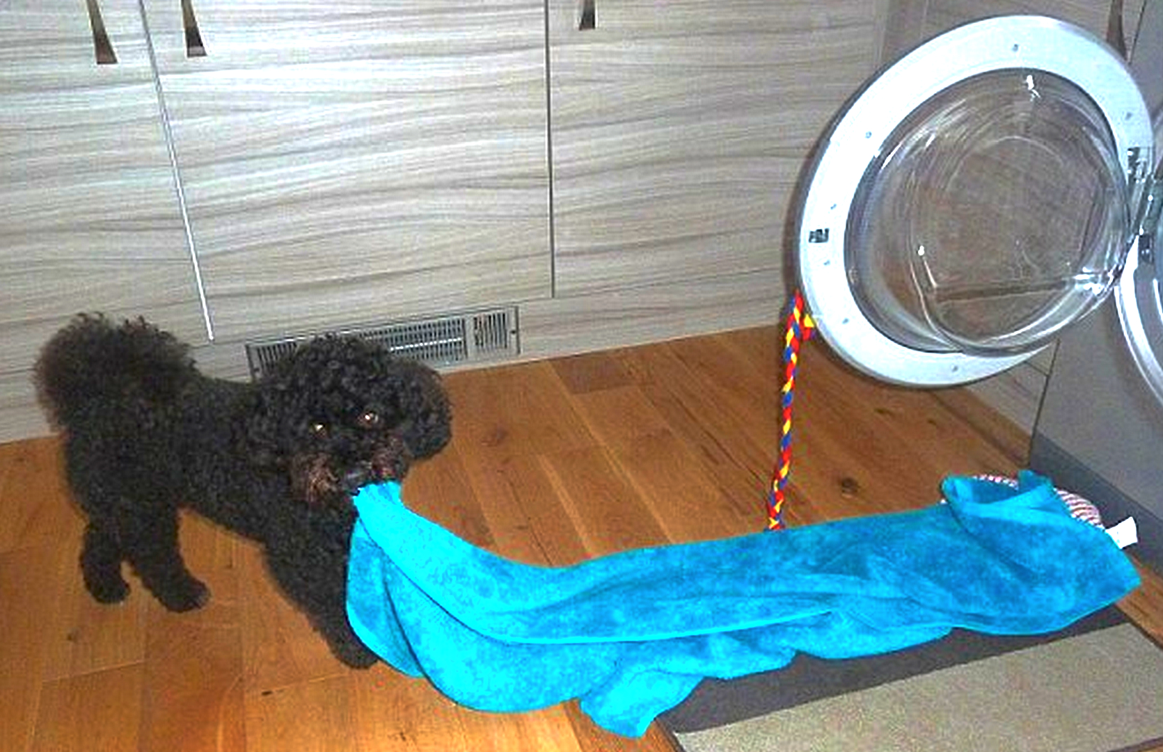 Dryer3.jpg
