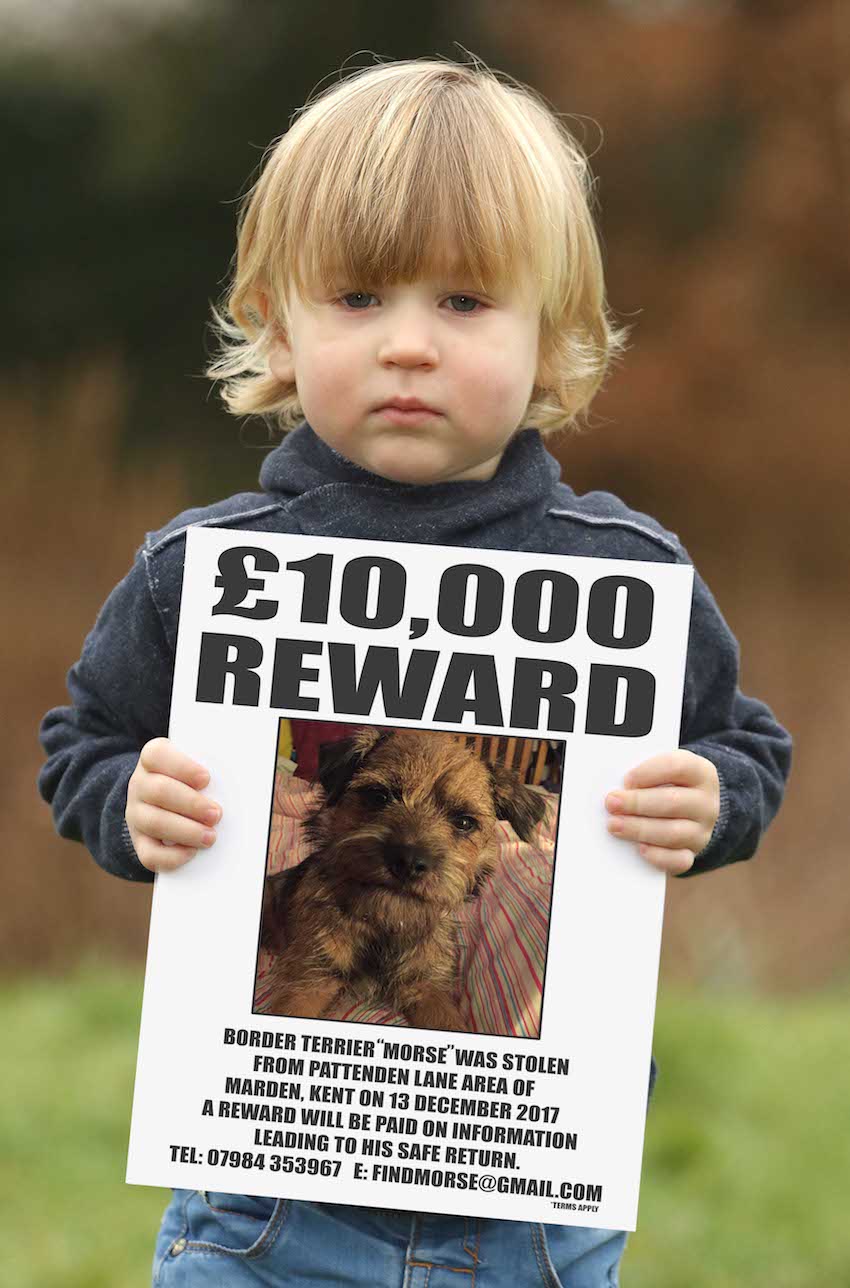 EN-COWELL-REWARD-01.jpg