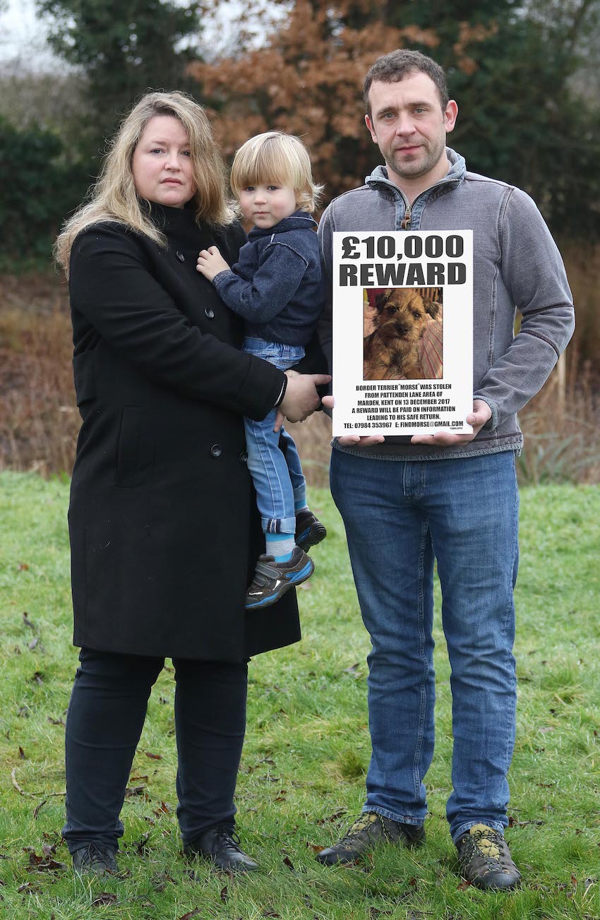 EN-COWELL-REWARD-06.jpg