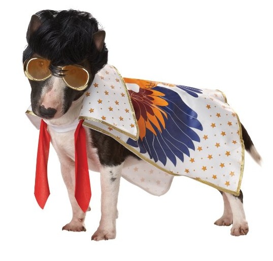 Elvis-Dog-Costume.jpg