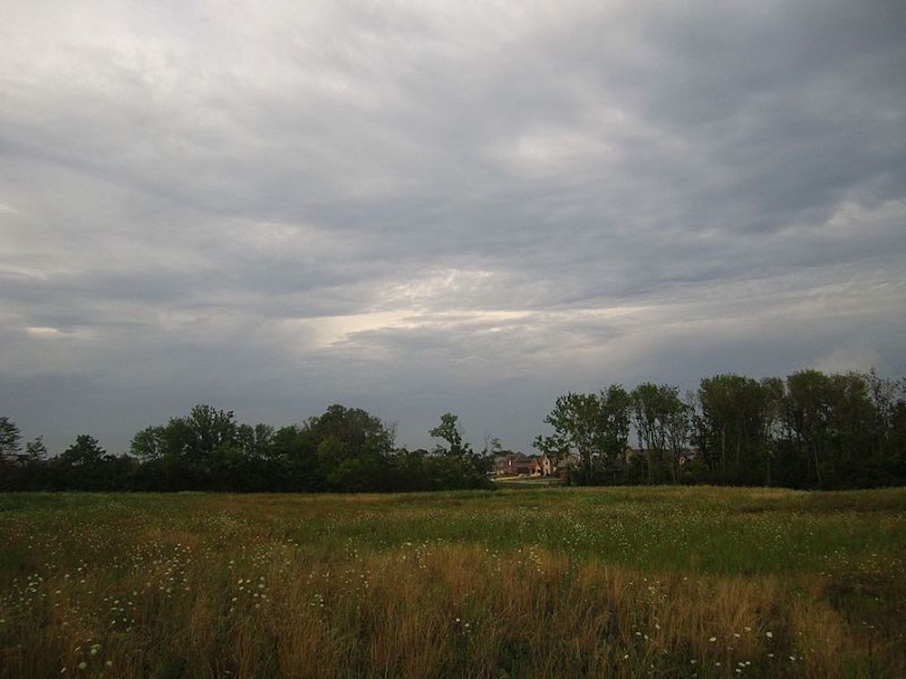 Empty_Lot_-_panoramio.jpg