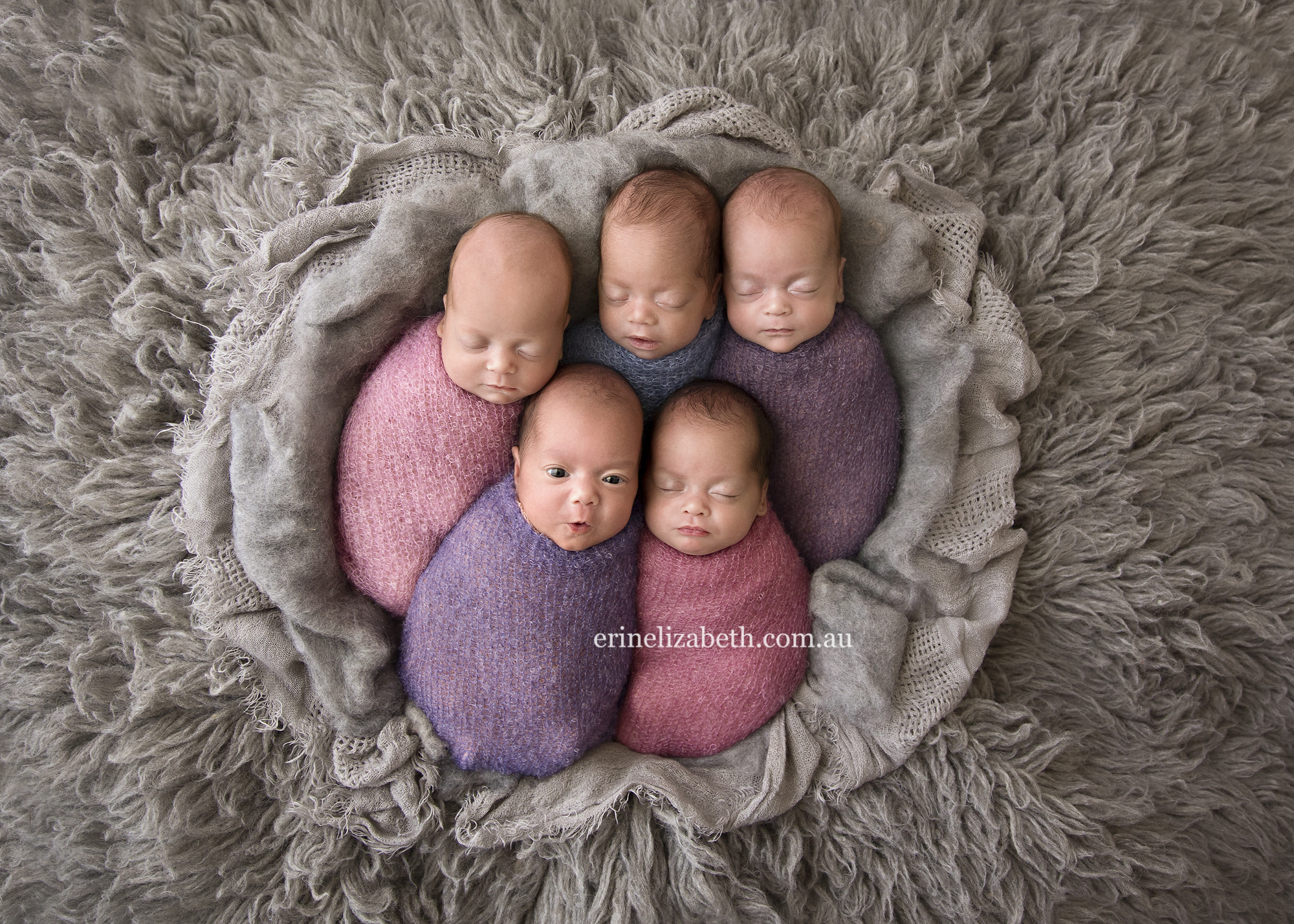 Erin_Elizabeth_Photography.02.jpg