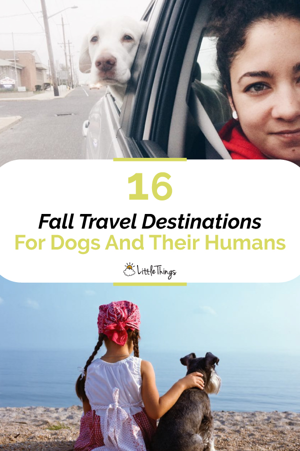 Fall-Travel-Destinations-For-Dogs-And-Their-Humans-Pinterest-Image.jpg