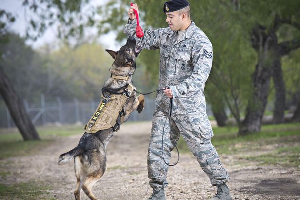 Final-salute-in-honor-of-MWD-Daysi-1.jpg