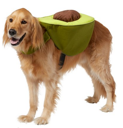 Frisco-Avocado-Dog-Cat-Costume-XX-Large-Chewy-com.png