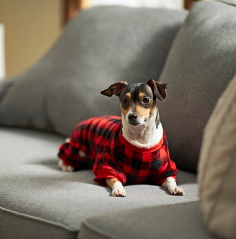 Frisco-Dog-Cat-Cozy-Fleece-PJs-Plaid-Small-Chewy-com.png