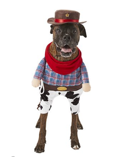 Frisco-Front-Walking-Cowboy-Dog-Cat-Costume-XX-Large-Chewy-com.png