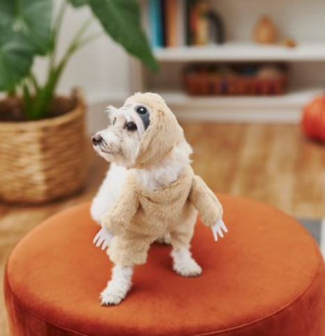 Frisco-Front-Walking-Sloth-Dog-Cat-Costume-X-Small-Chewy-com.png