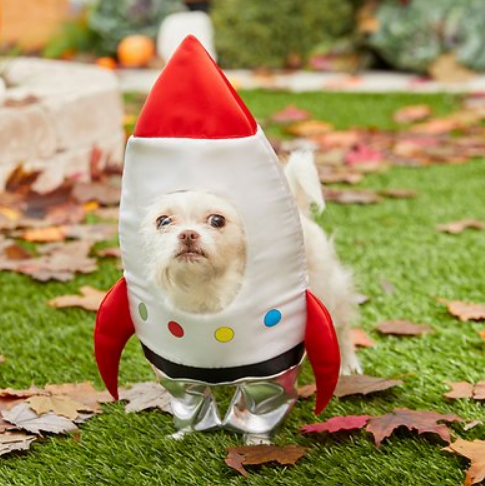 Frisco-Front-Walking-Spaceship-Dog-Cat-Costume-Medium-Chewy-com.png