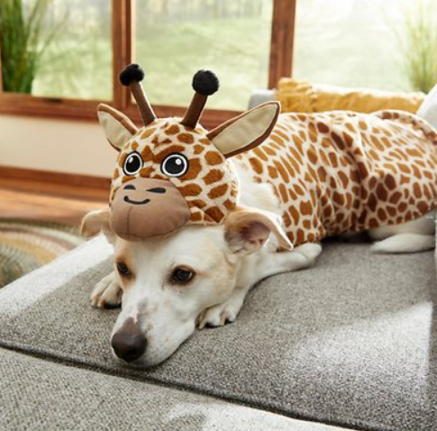 Frisco-Giraffe-Dog-Cat-Costume-X-Small-Chewy-com-1.png