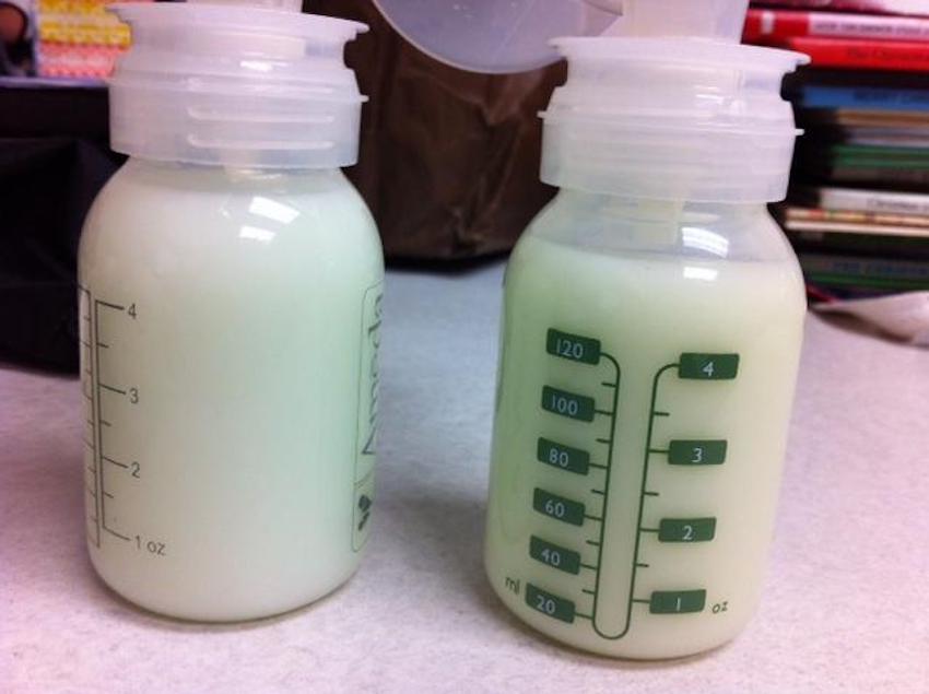 Full_Bottles_of_Pumped_Breast_Milk.jpg